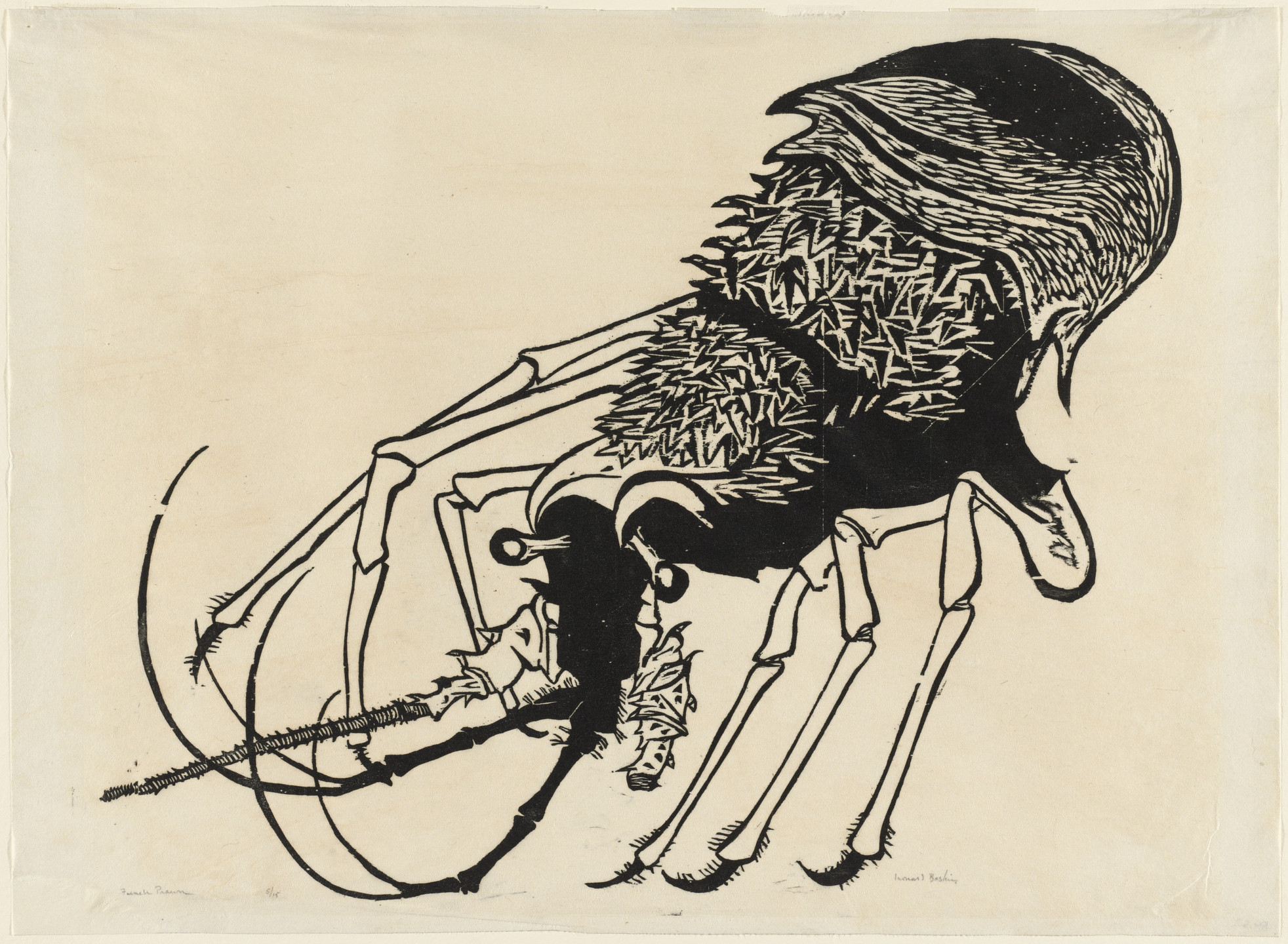 Leonard Baskin. French Prawn. 1951