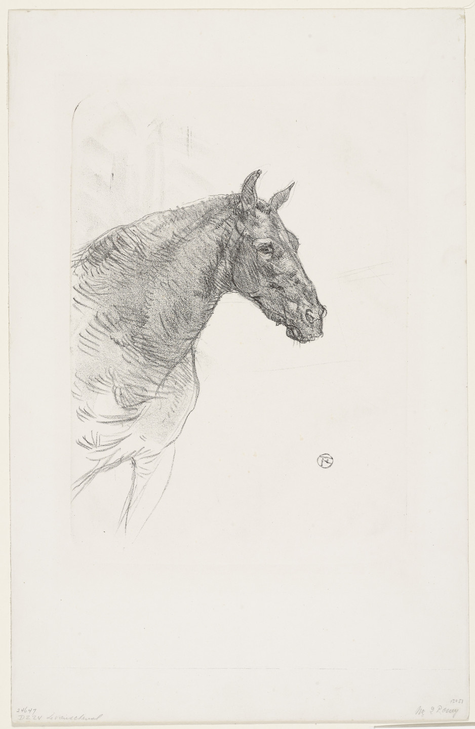 Henri de Toulouse-Lautrec. Philibert the Pony (Le poney Philibert). 1898