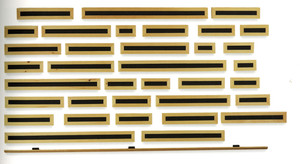 Disinformation Paragraph