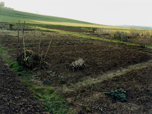 Field, Härtsfeld/Schwäbische Alb