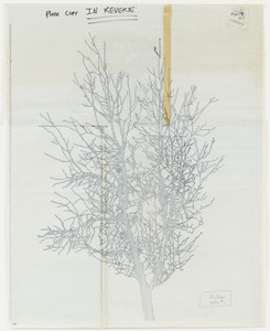 Working Drawings for Numbers and Trees #7