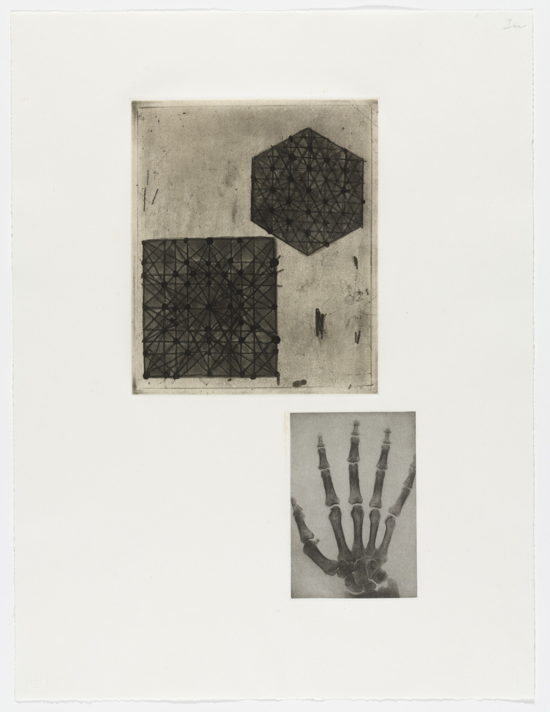 Terry Winters. Fourteen Etchings 10. 1989