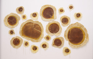 Cosmic Seeds Light / Beej Brahmaand Ek