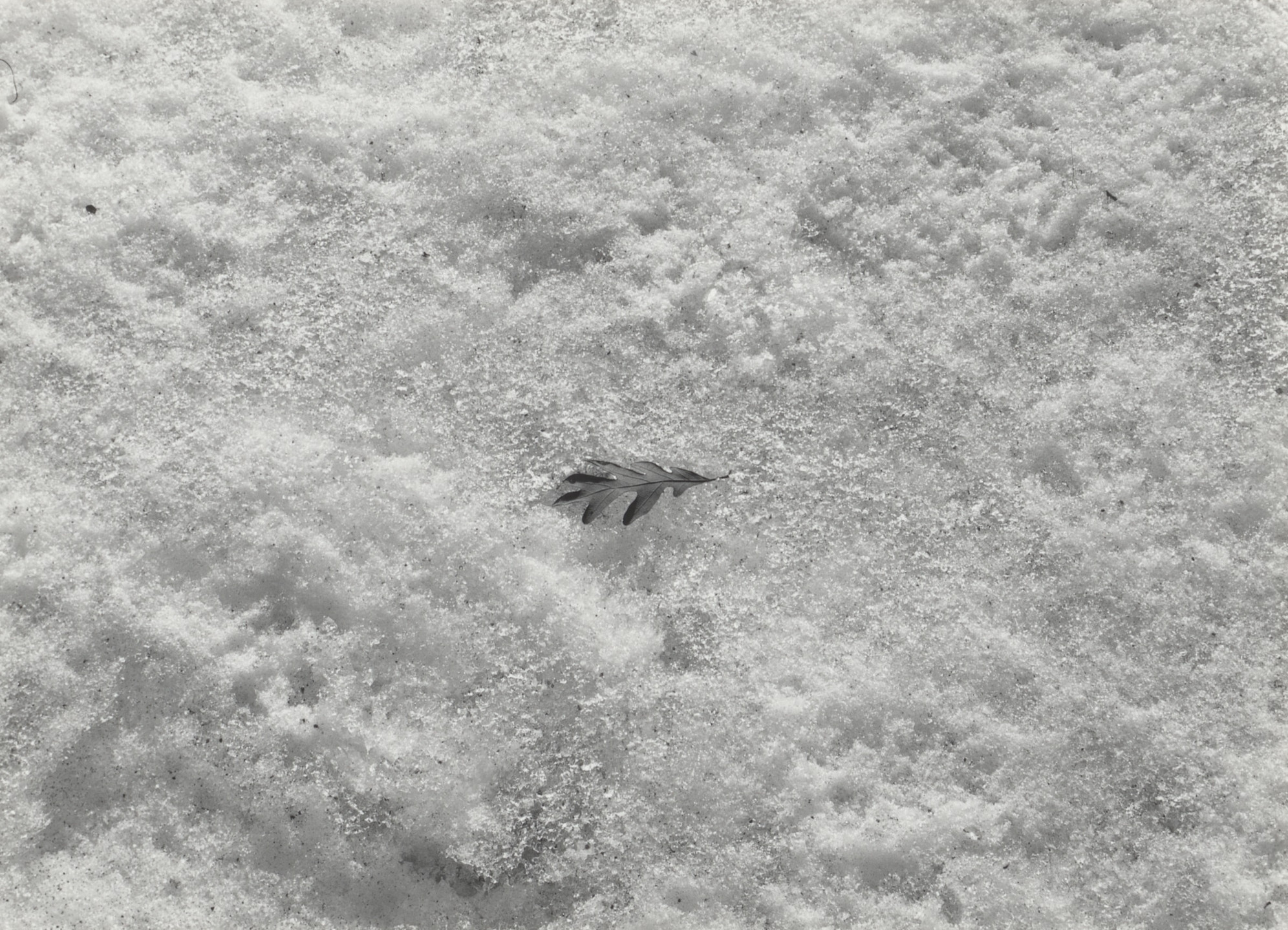 Harry Callahan. Detroit. 1942