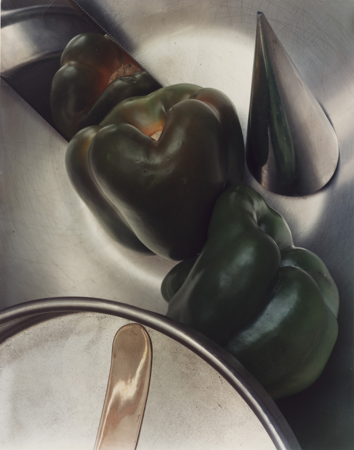 Jan Groover. Untitled. 1979