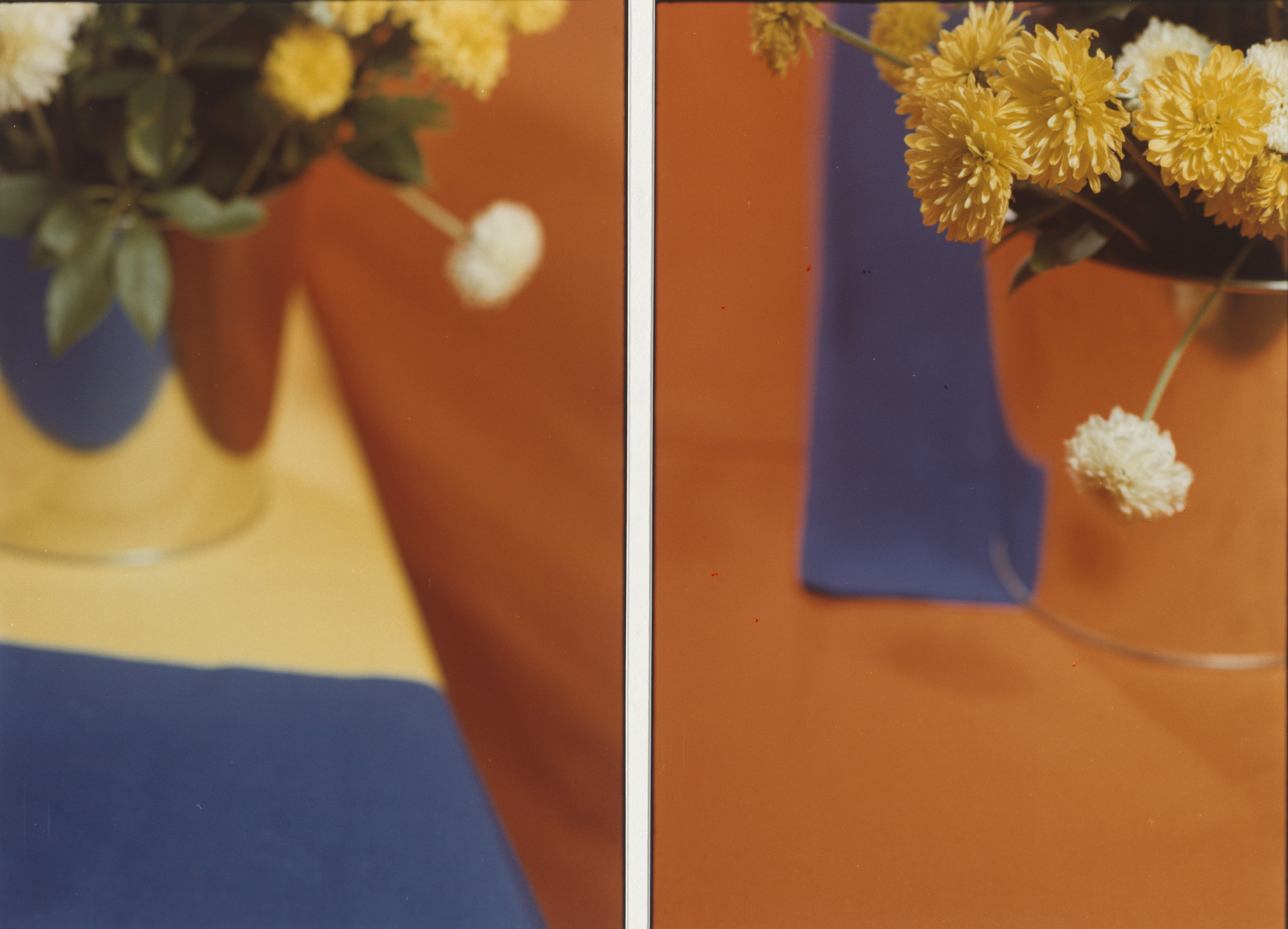 Jan Groover. Untitled. 1977