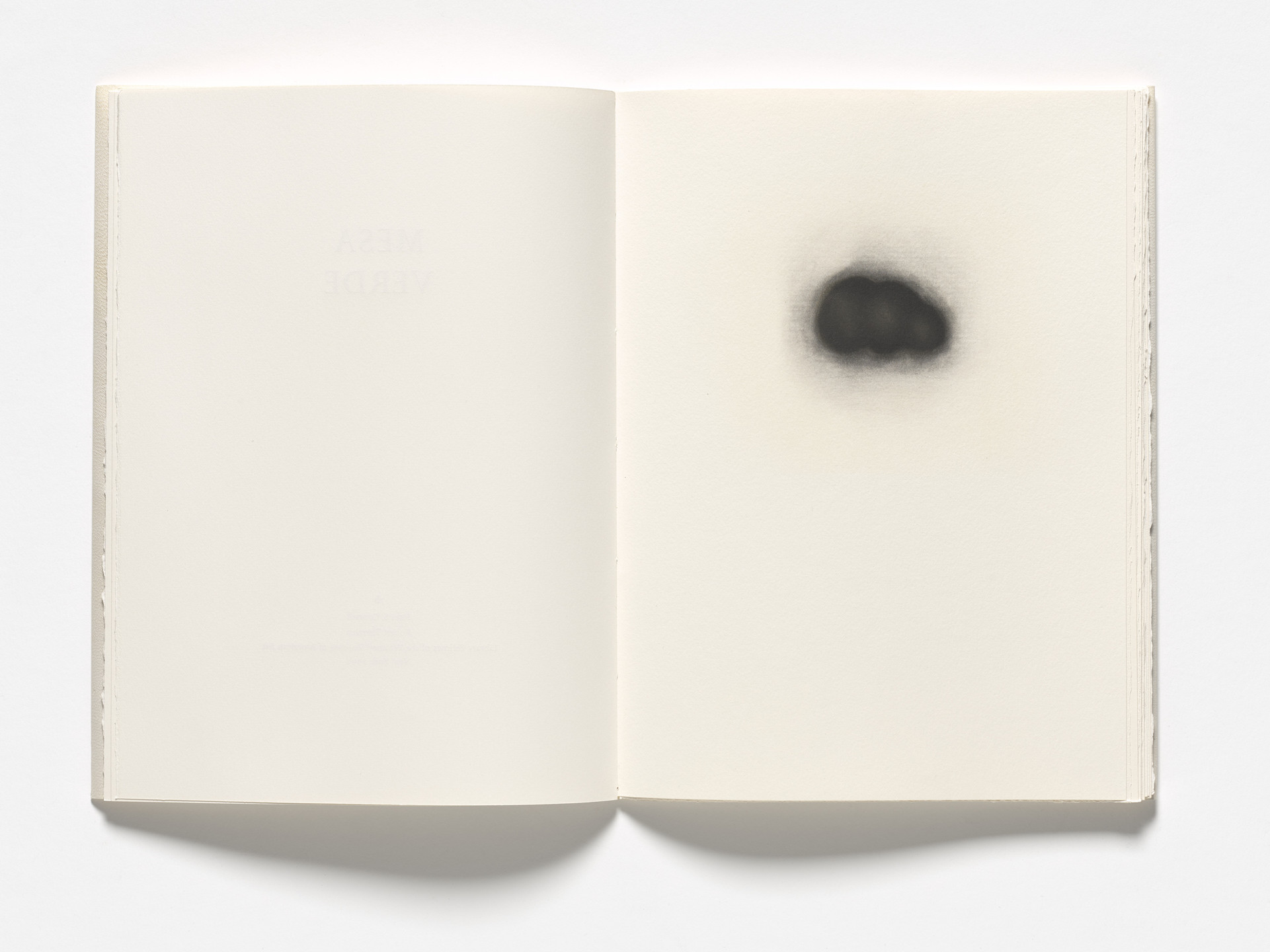 Robert Therrien. Mesa Verde. 1992
