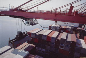 Hammerhead crane unloading forty-foot containers from Asian ports. American President Lines terminal. Los Angeles harbor. San Pedro, California from the series Fish Story