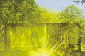 From the series `Glass House`