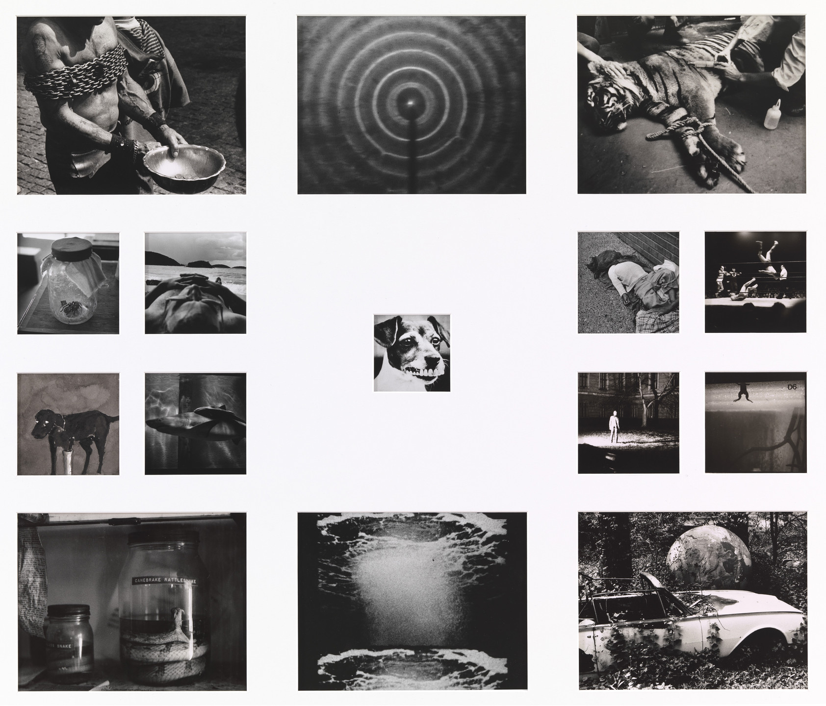 David Wojnarowicz. Weight of the Earth, Part I. 1988