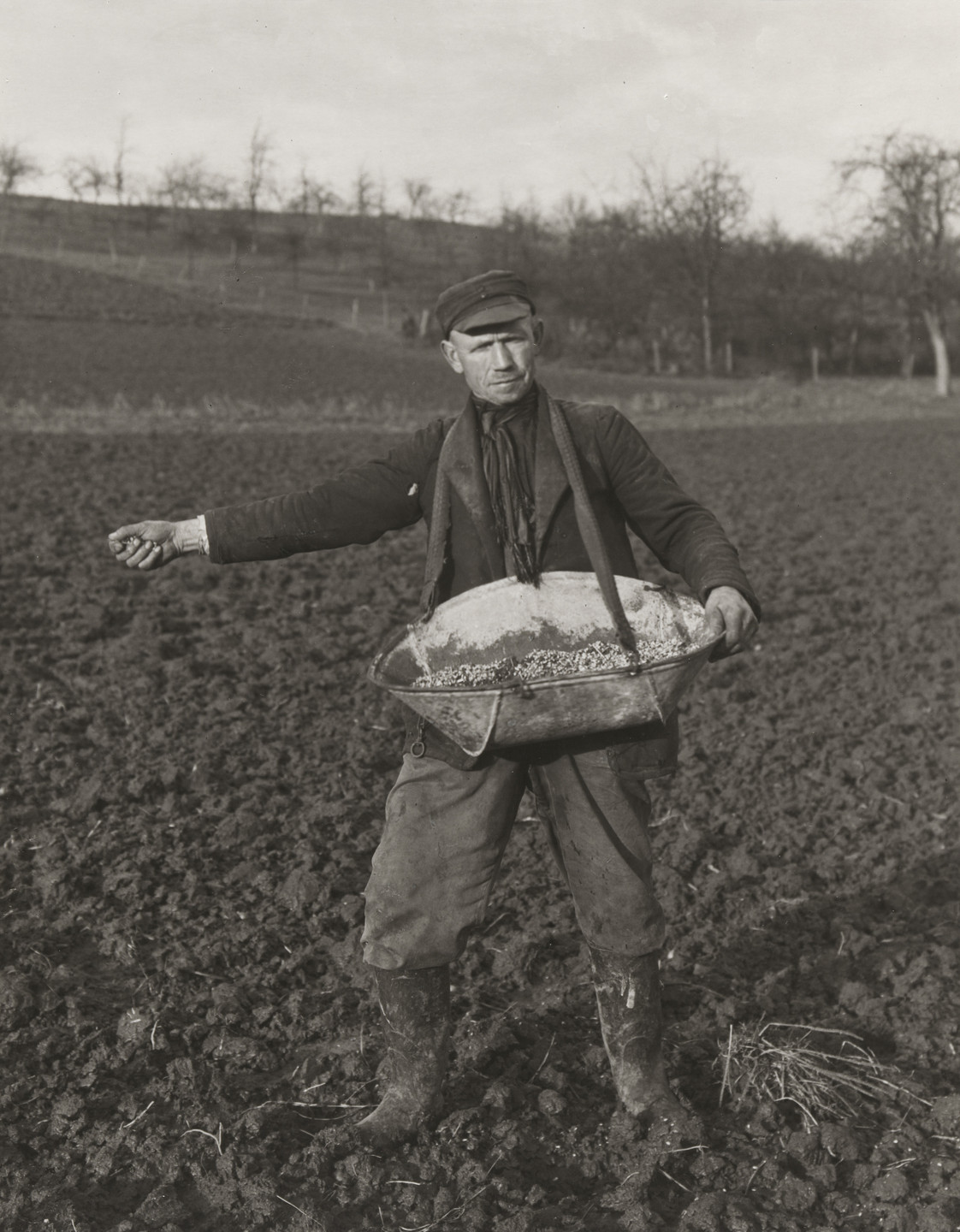 August Sander. Farmer Sowing. 1952