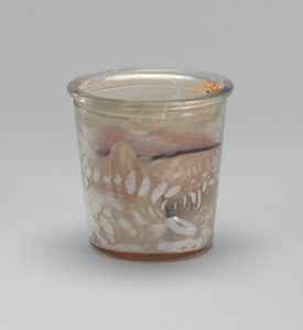Mouth in a Preserve Jar