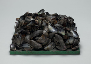 Panel of Mussels