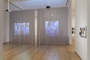 Dedans le musée/Pénétration d'images  (In the Museum/Penetration of Images)