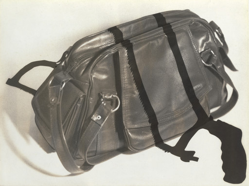 Regina Silveira. Enigma 1. 1981