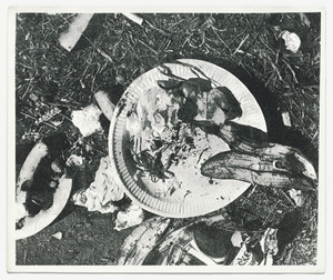 Picnic Garbage Placemat