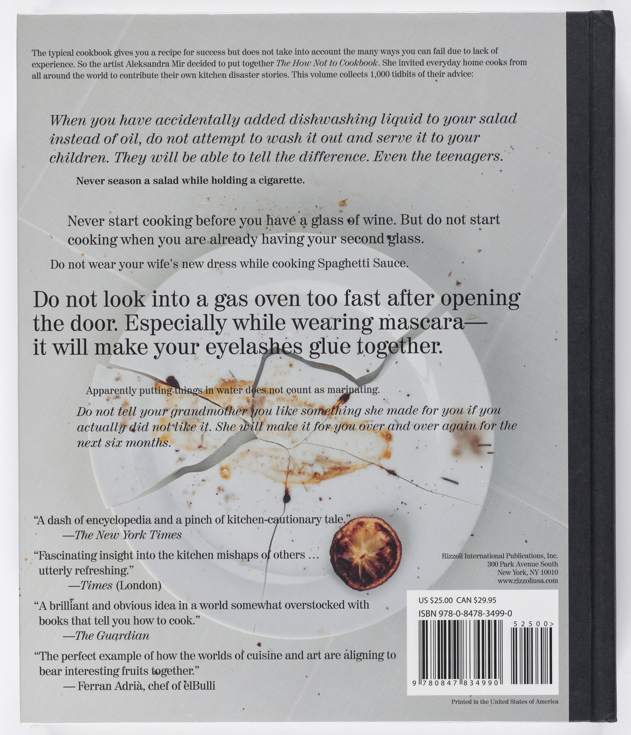 Aleksandra Mir. The How Not to Cookbook: Lesson Learned the Hard Way. 2010