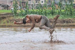 Freedom Farming