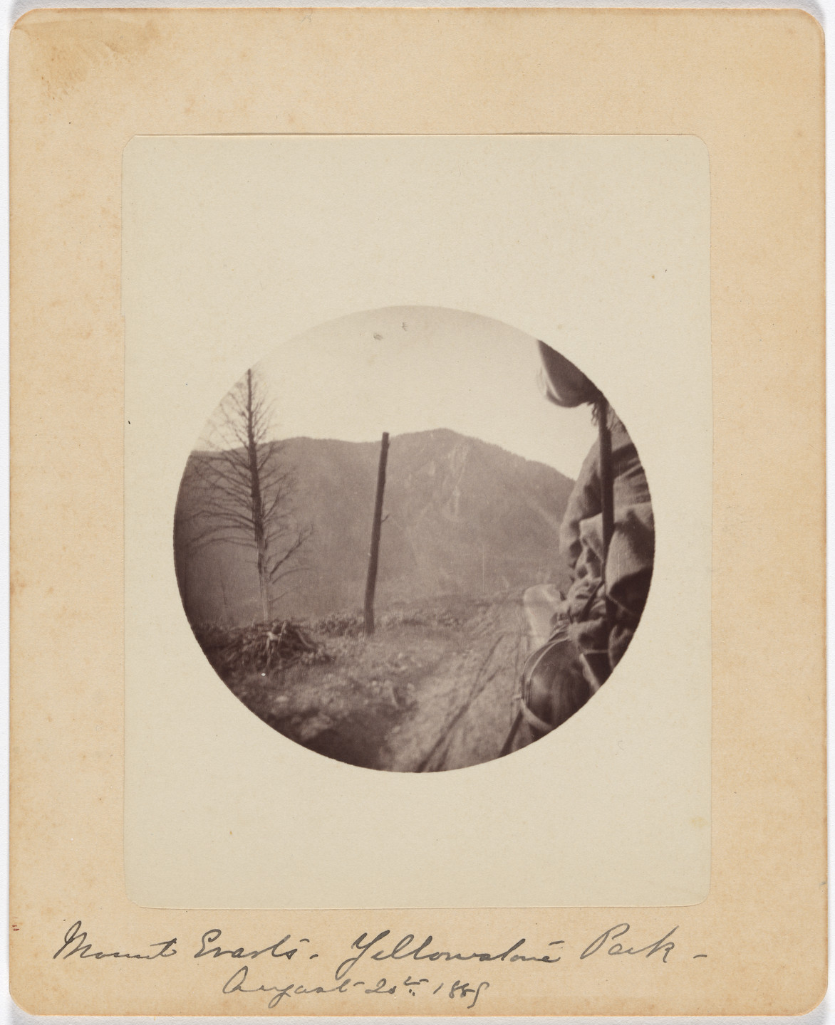 Unidentified photographer. Untitled. 1889