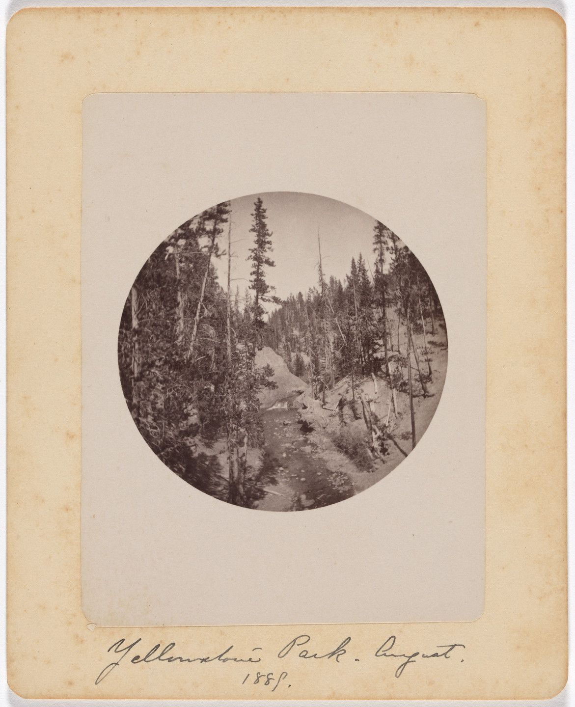 Unidentified photographer. Untitled. 1889