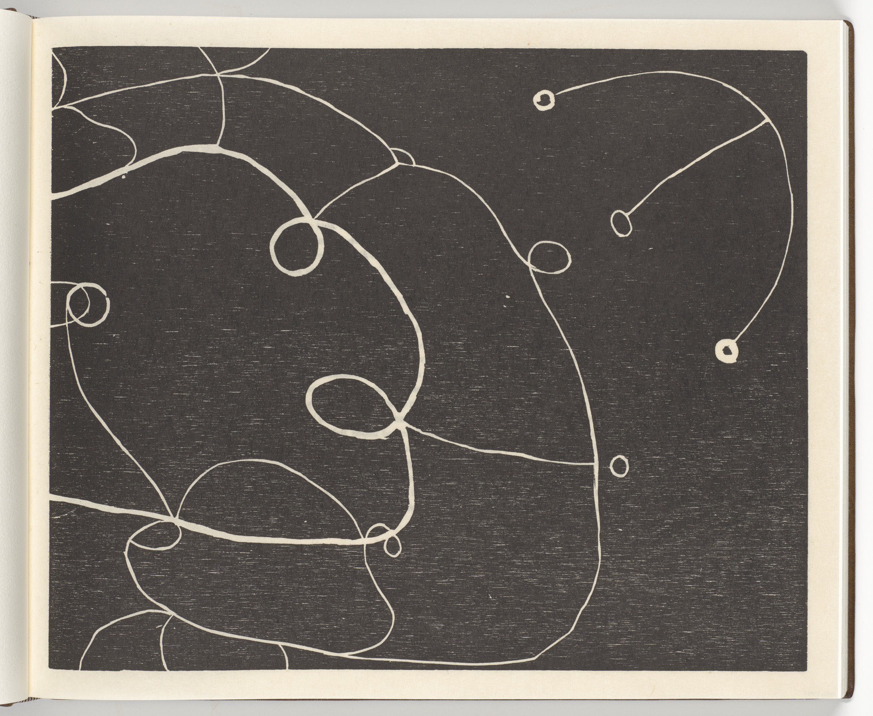 Martin Puryear. Fern (plate, facing page 22) from Cane. 2000