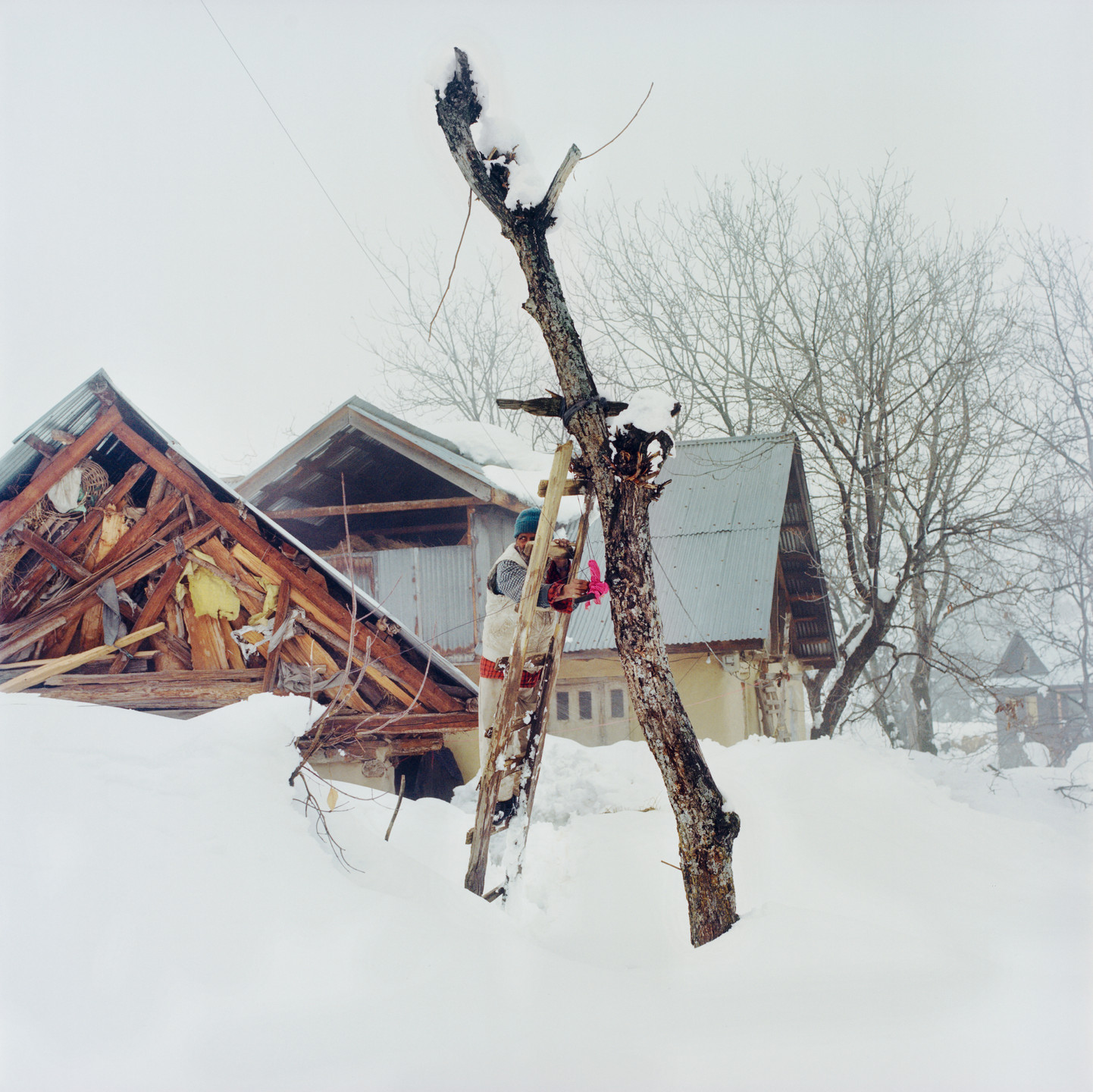 Sohrab Hura. Untitled. 2015-ongoing