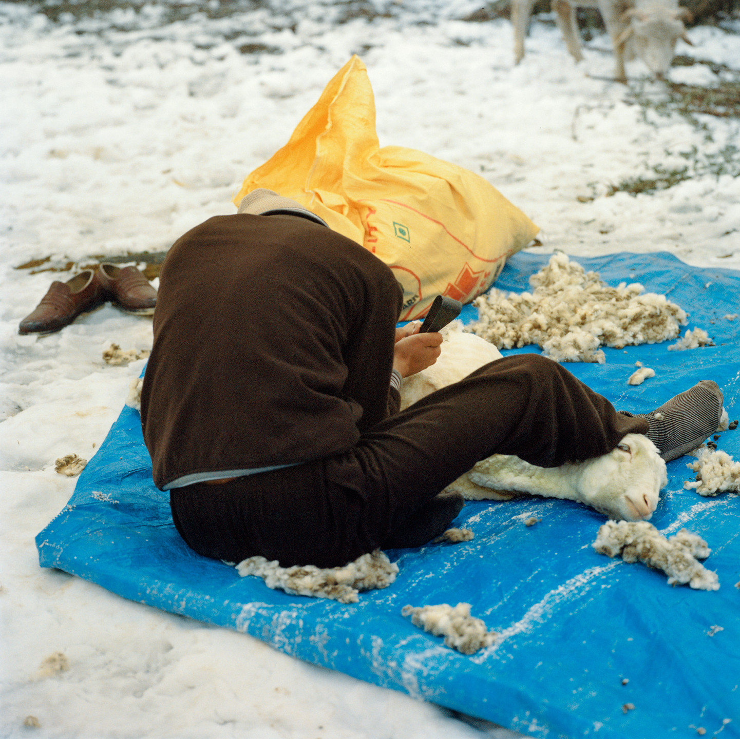 Sohrab Hura. Untitled. 2015-ongoing