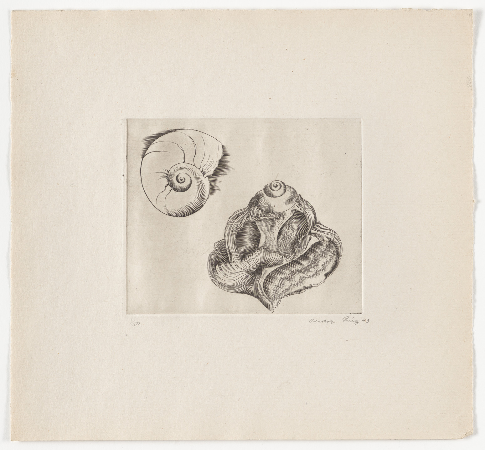 André Racz. Untitled from The Flowering Rock. 1943