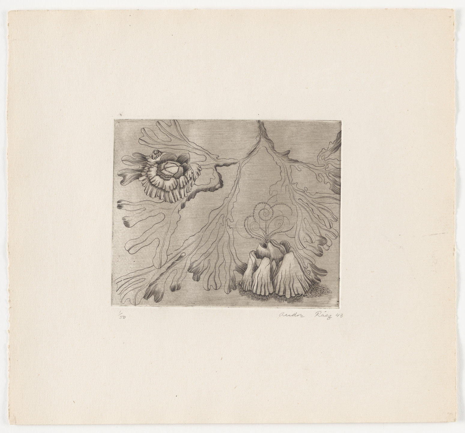 André Racz. Untitled from The Flowering Rock. 1943