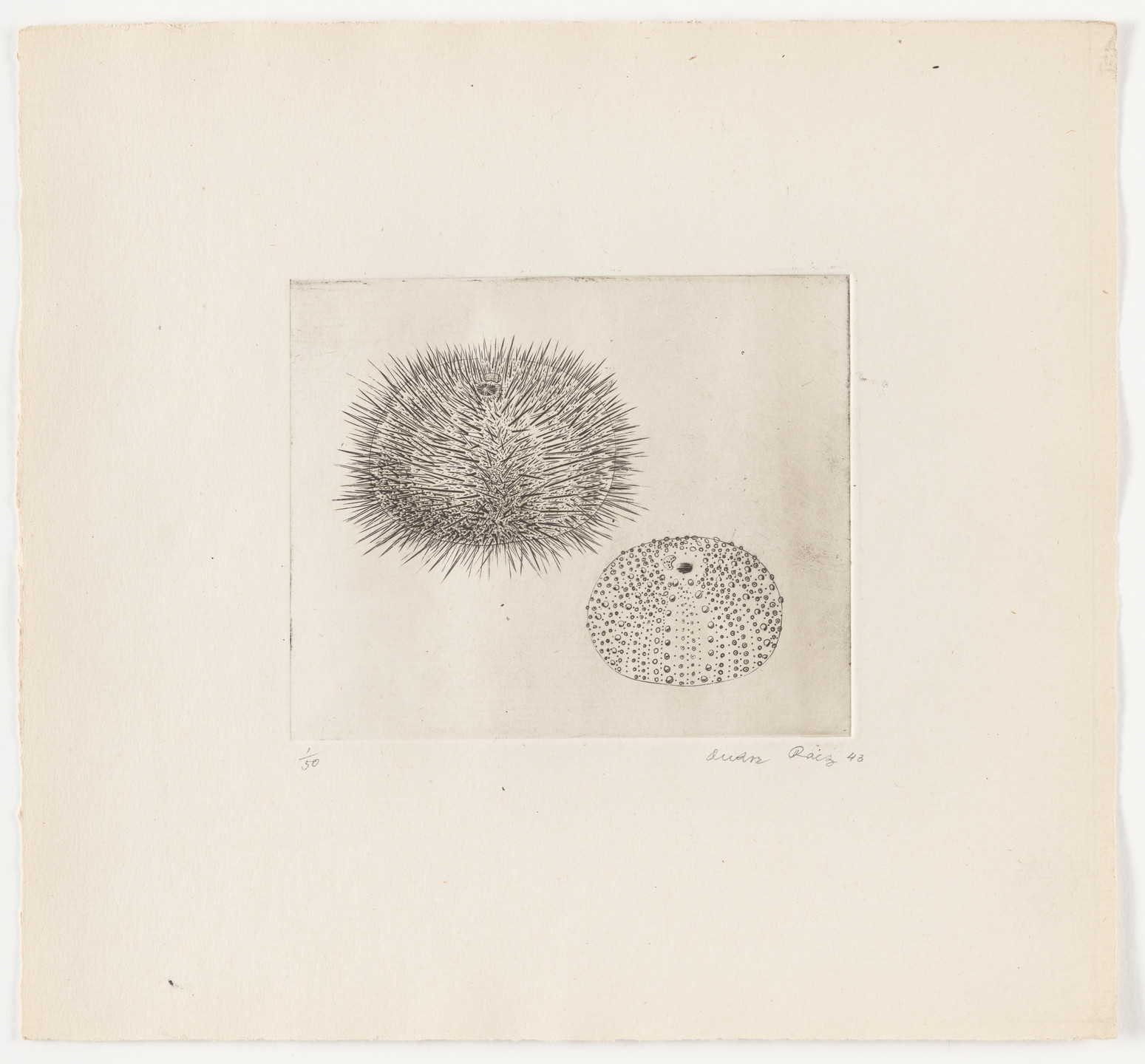 André Racz. Untitled from The Flowering Rock. 1943