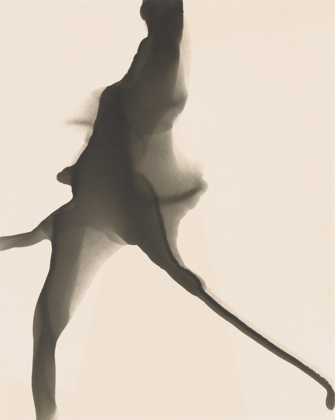 Jay DeFeo. Untitled (Salvador Dalí&#39;s Birthday Party). May 11, 1973