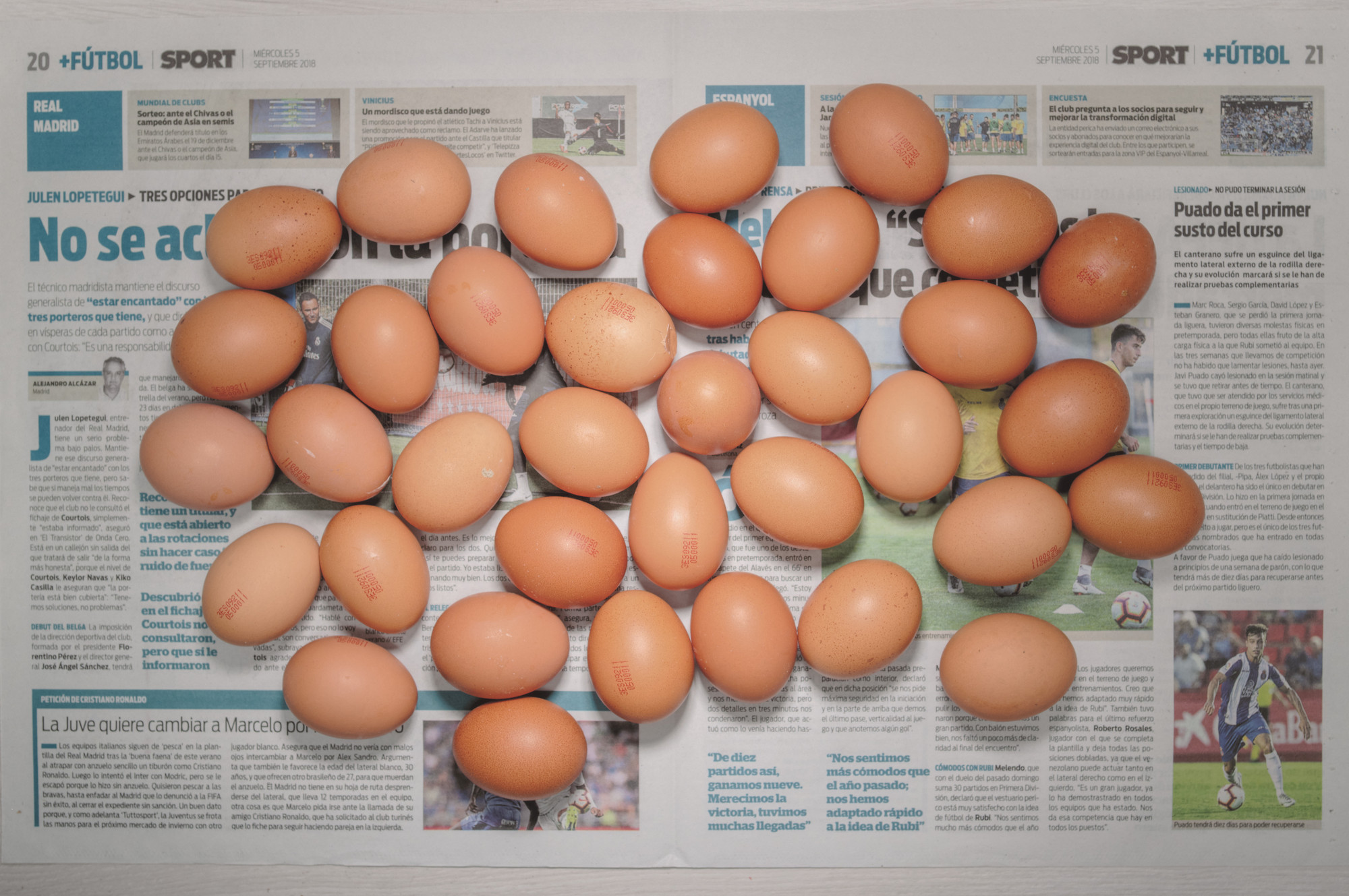 Chow and Lin, Stefen Chow, Huiyi Lin. The Poverty Line (Eggs) (Spain). 2010-2020