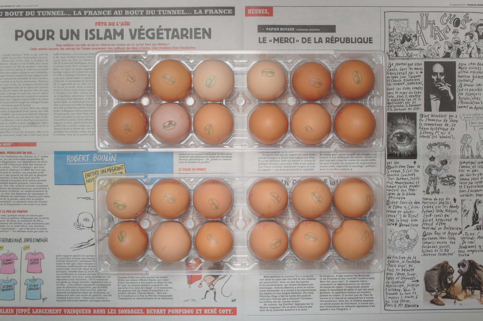 Chow and Lin, Stefen Chow, Huiyi Lin. The Poverty Line (Eggs) (France). 2010-2020