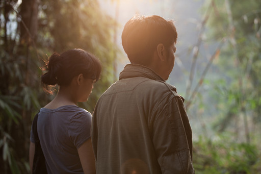 Anocha Suwichakornpong. Dao khanong (By the Time It Gets Dark). 2016