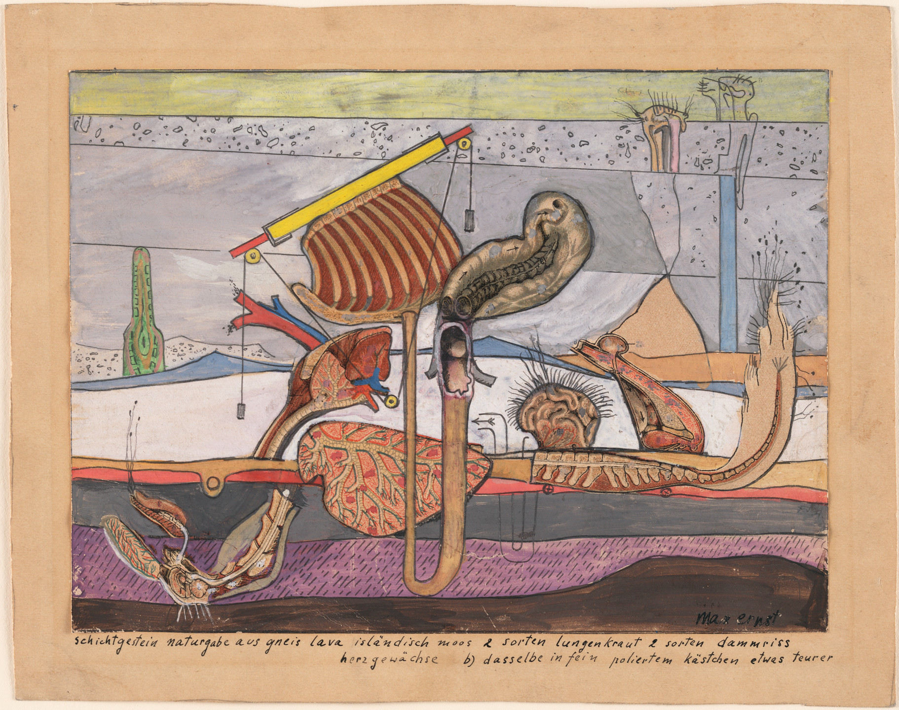 Max Ernst. Stratified Rocks, Nature's Gift of Gneiss Lava Iceland Moss 2 kinds of lungwort 2 kinds of ruptures of the perinaeum growths of the heart b) the same thing in a well-polished little box somewhat more expensive (schichtgestein naturgabe aus gneis lava isländisch moos 2 sorten lungenkraut 2 sorten dammriss/herzgewächse b) dasselbe in fein poliertem kästchen etwas teurer). 1920