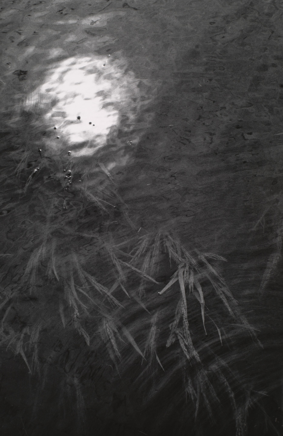 Shomei Tomatsu. Aftermath of a Typhoon, Nagoya. 1959