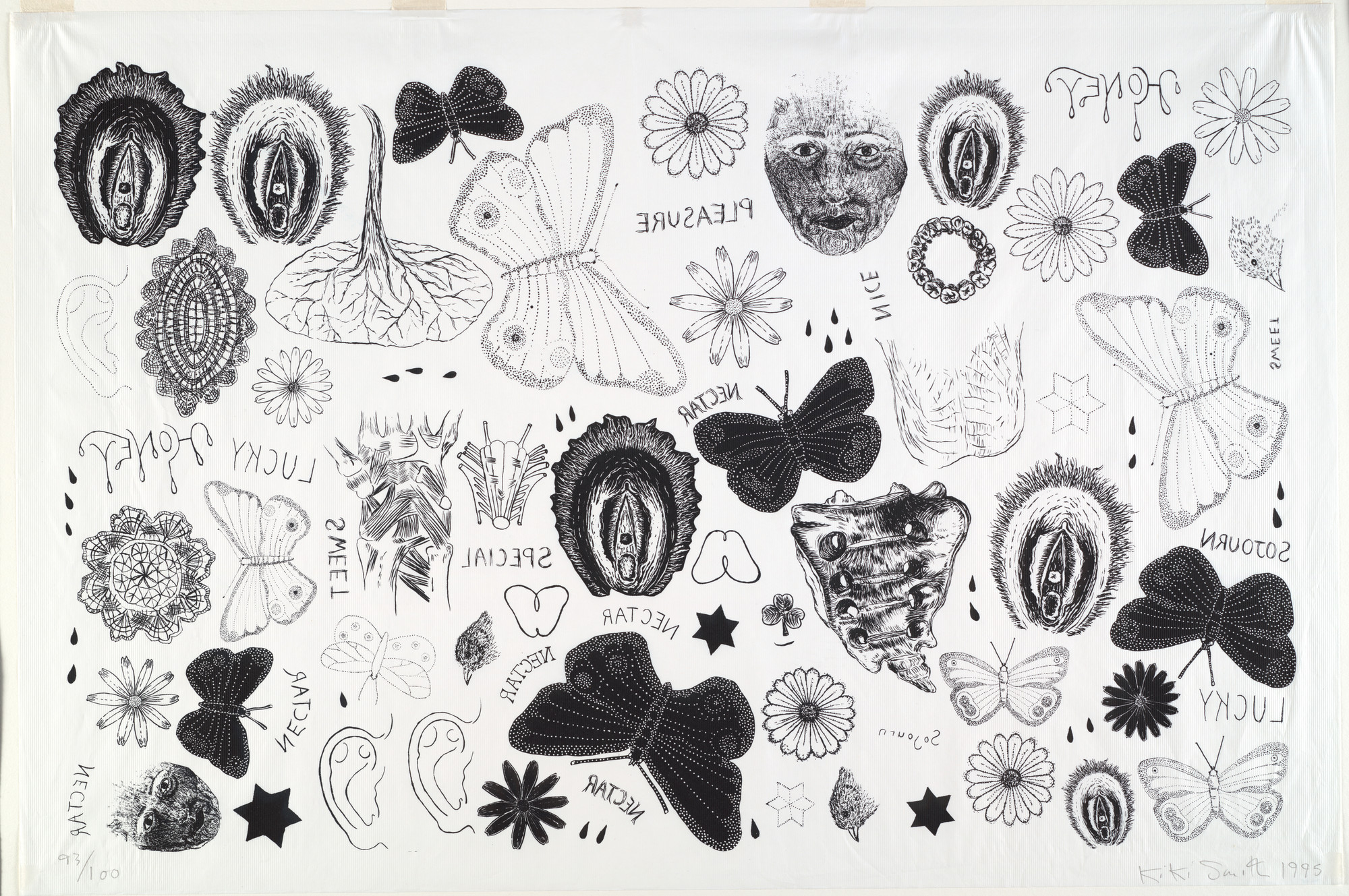 Kiki Smith. Tattoo Print. 1995