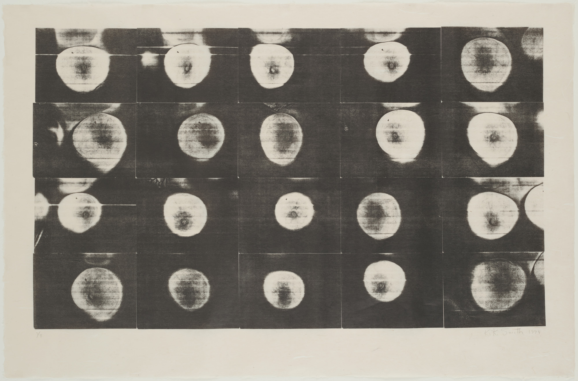 Kiki Smith. Untitled (Bosoms). 1994