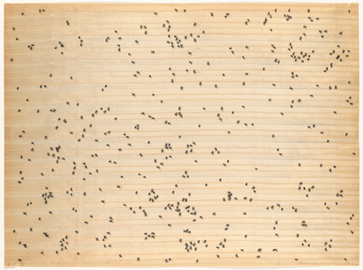 Edward Ruscha. Black Ants from Insects. 1972