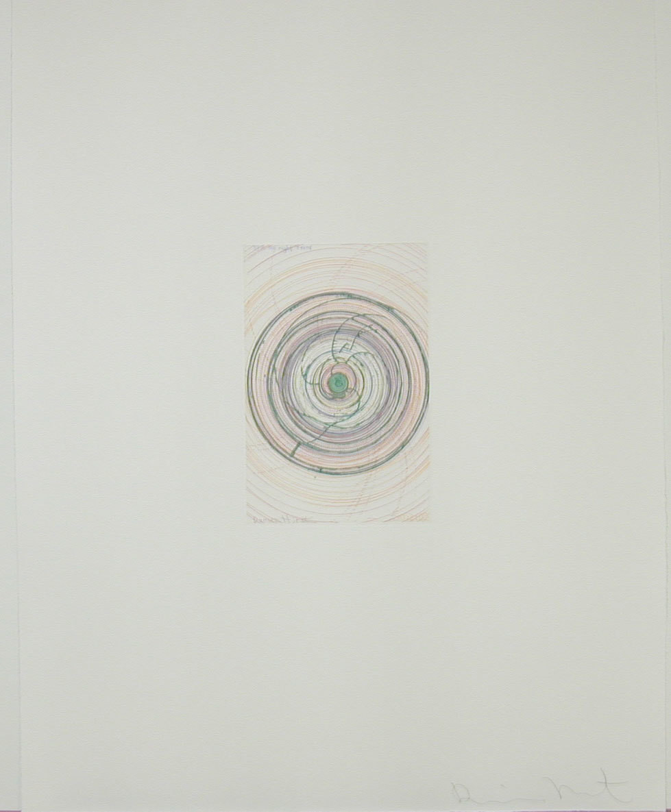 Damien Hirst. Spin me right round from In a Spin, the Action of the World on Things, Volume 1. 2002
