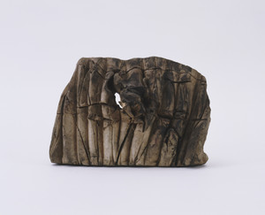 The Burning Walls of Troy