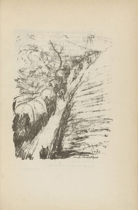 Walther Teutsch. Untitled (Trail in the Barrage) (plate, [p. 345]) from the periodical  Zeit-Echo. Ein Kriegs-Tagebuch der Künstler, vol. 1, no. 23/24 (Sept 1915). 1915