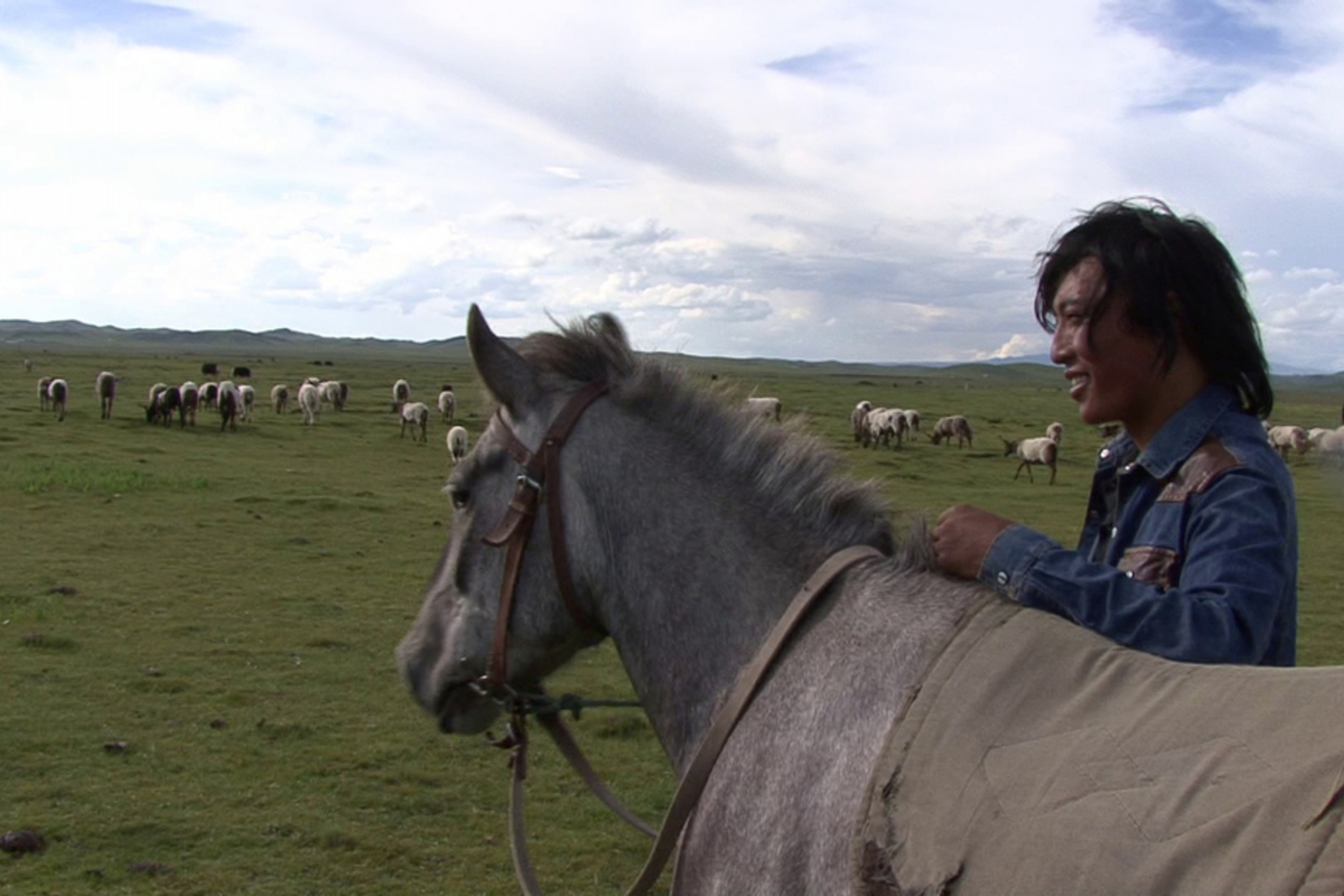 The Son of a Herder. 2014. China. Directed by Tashi Chopel. 64 min. Courtesy of Chopel and Sundance Institute