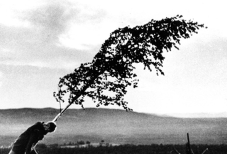Jungfrukallan (The Virgin Spring). 1960. Sweden. Directed by Ingmar Bergman
