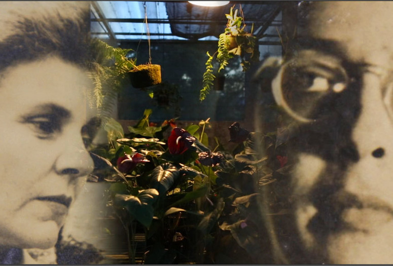 Welcome to This House, a Film on Elizabeth Bishop. 2015. USA. Directed by Barbara Hammer