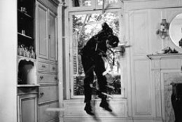 Code Name: Tiger. 1964. France. Directed by Claude Chabrol