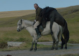 Of Horses and Men. 2013. Iceland/Germany. Directed by Benedikt Erlingsson. Courtesy Music Box Films