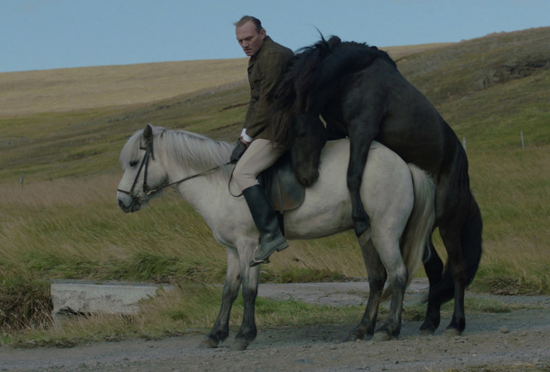 Of Horses and Men. 2013. Iceland/Germany. Directed by Benedikt Erlingsson. Courtesy Music Box Films