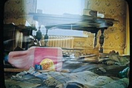 Mary Lucier. Detail from Floodsongs. 1998. Video/sound installation