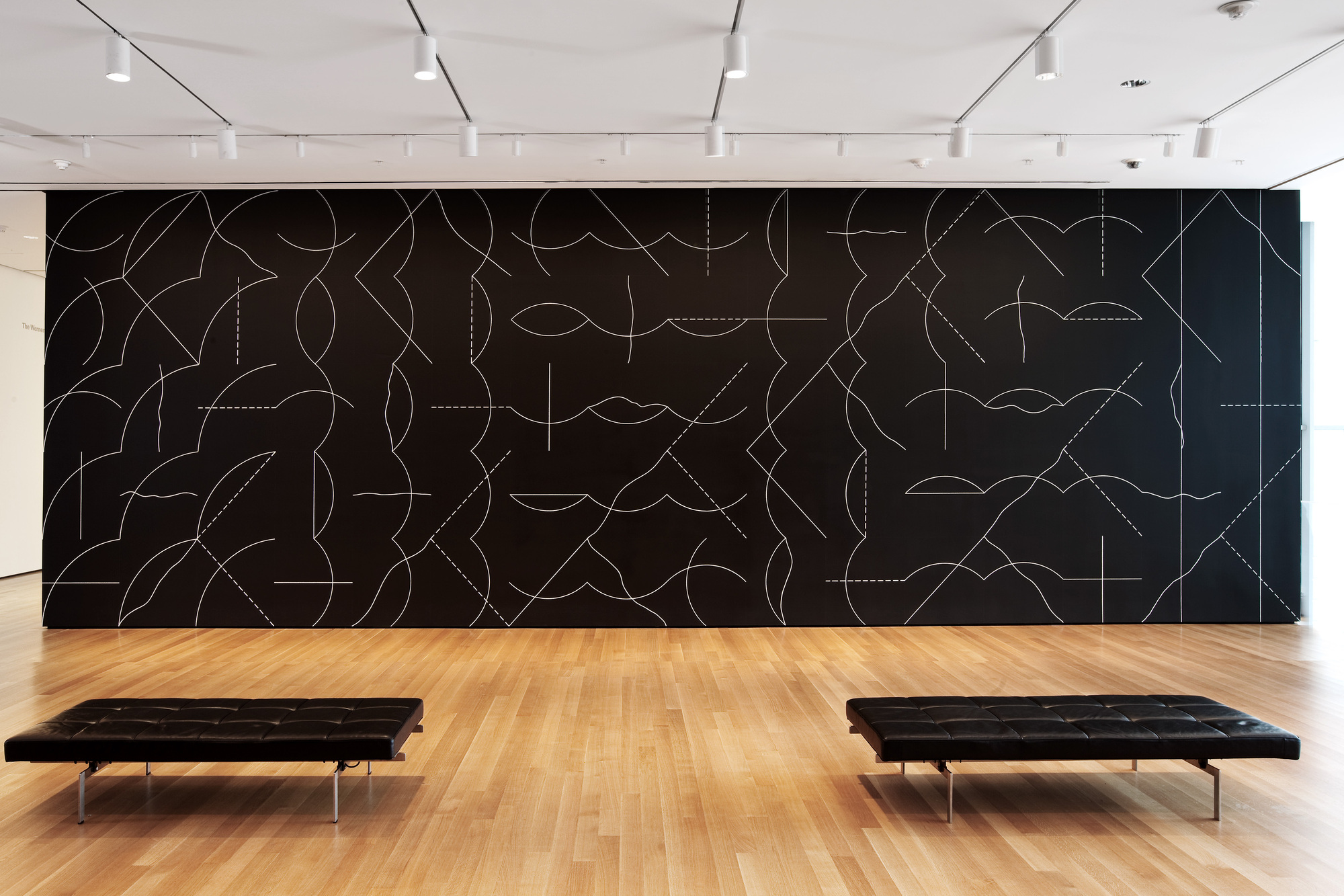 Focus Sol Lewitt Moma